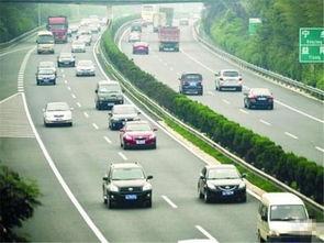 高速免费吃瓜群众,吃瓜群众狂欢时刻  第3张